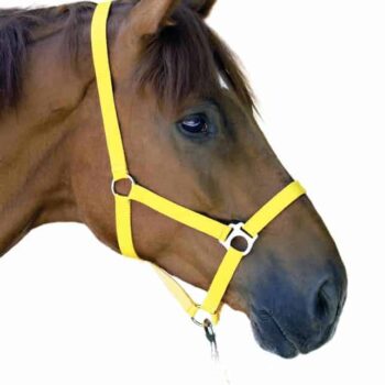 Kantar INTER API Eco