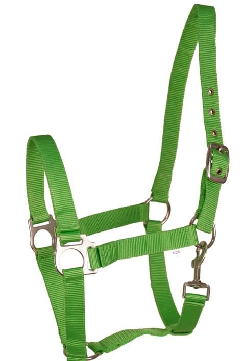 20102_kantar_Api_Eko_soczysta_zielen-jpg