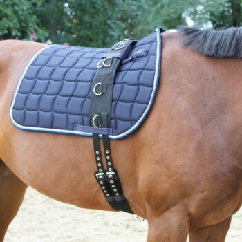 Pas do lonżowania Kerbl