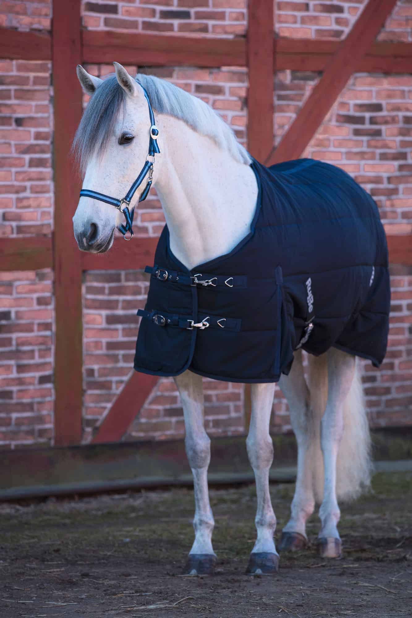 Derka stajenna RugBe Indoor Covalliero wypełnienie 150g