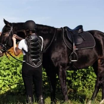 Ochraniacz na plecy żółwik BackPro Covalliero
