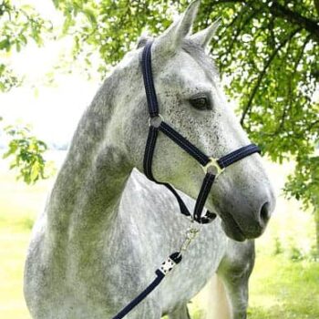 Kantar COVALLIERO kolekcja F/S 2018