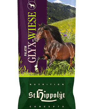 Sieczka dla koni Palatin Glyx-Wiese Seniorfaser 15 kg StHippolyt