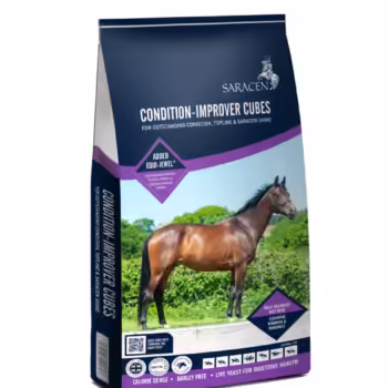 Saracen Condition-Improver Cubes 20kg - pasza dla koni sportowych słabo przybierających na masie