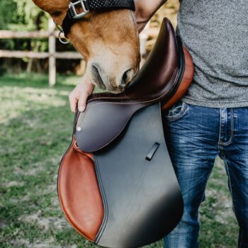 DEZYNFEKCJA I PIELĘGNACJA SPRZĘTU