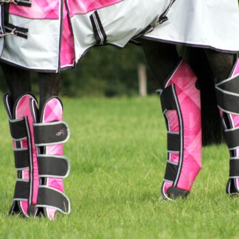 OCHRANIACZE TRANSPORTOWE I STAJENNE