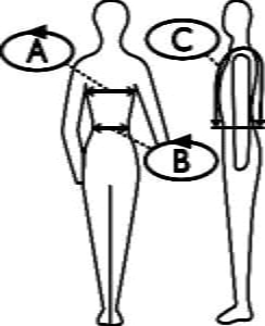 a diagram of a person's body