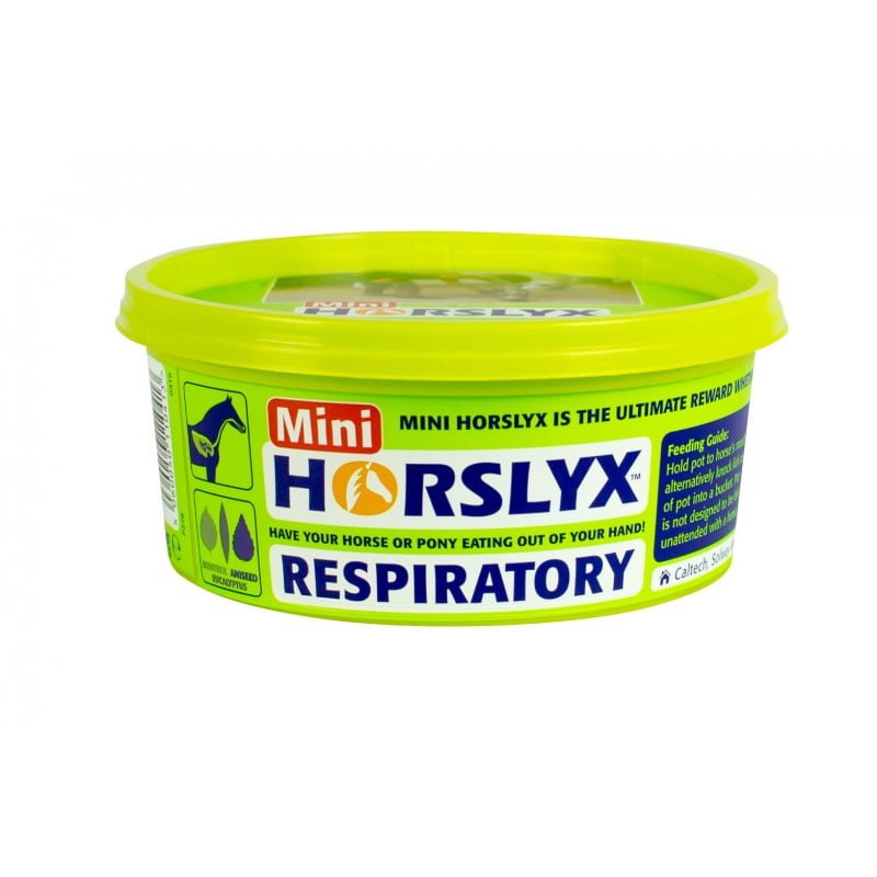 Lizawka dla konia na drogi oddechowe HORSLYX RESPIRATORY 650g