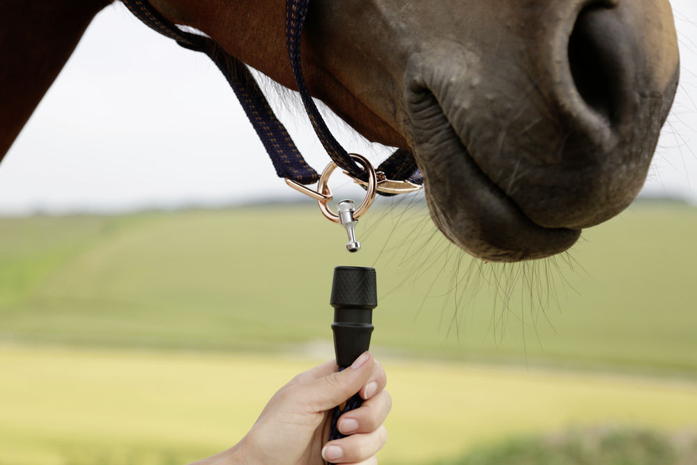 Bezpieczny uwiąz Covalliero GoLeyGo 2.0