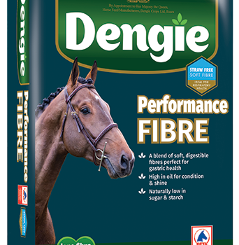 sieczka Dengie Performance Fibre 20 kg