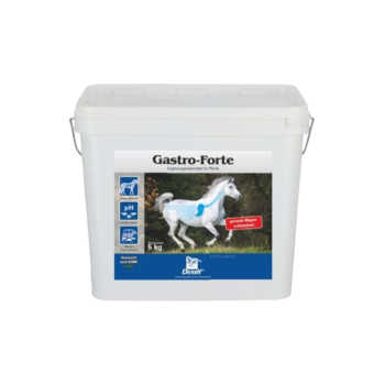 Derby Gastro Forte 5 kg