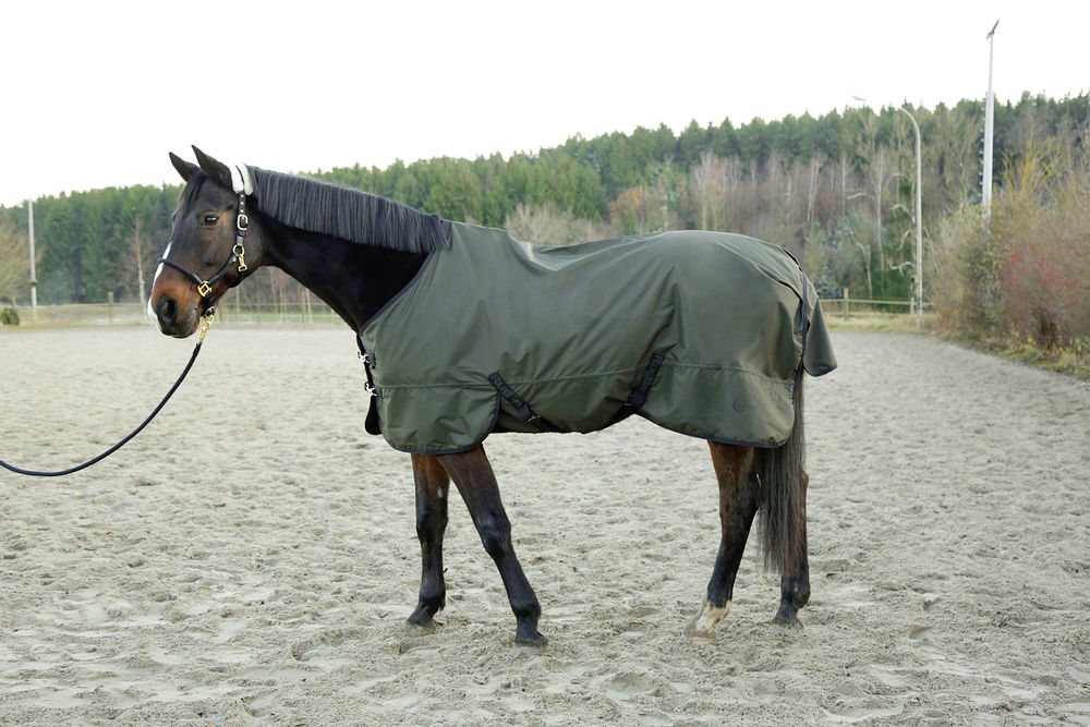 Derka padokowa Covalliero jesień/zima 2020