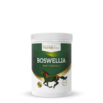 Boswellia Serrata