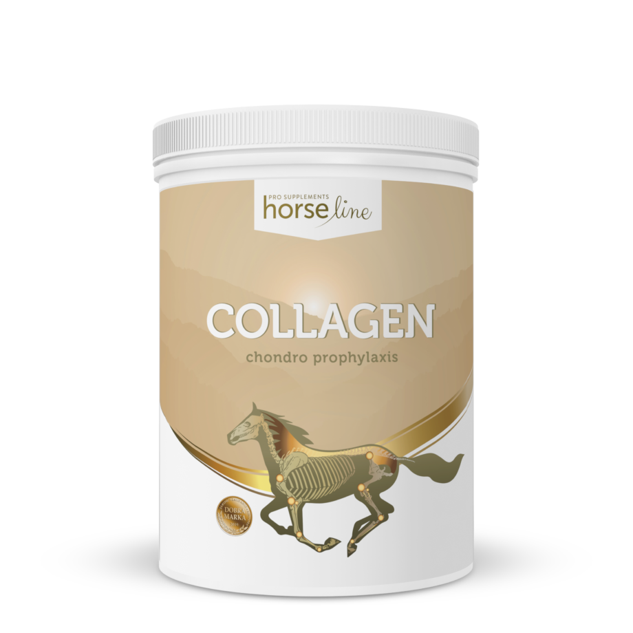 Twój Koń HorseLinePRO Collagen - kolagen typu II - na stawy dla koni