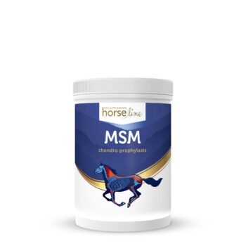 MSM na stawy