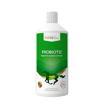 Probiotic Digestive Therapy