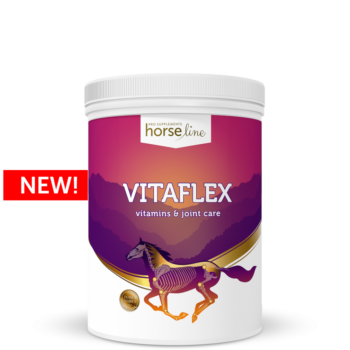 VitaFlex - witaminy dla konia