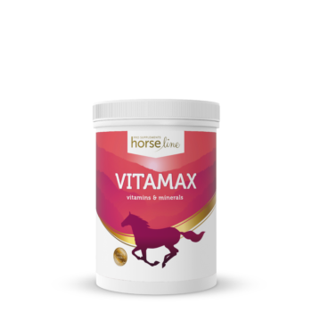 VitaMax kompleks witamin