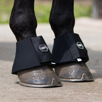 kaloszki neoprenowe QHP kaloszki dla konia