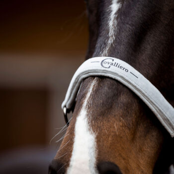 COVALLIERO jesień/zima 2023