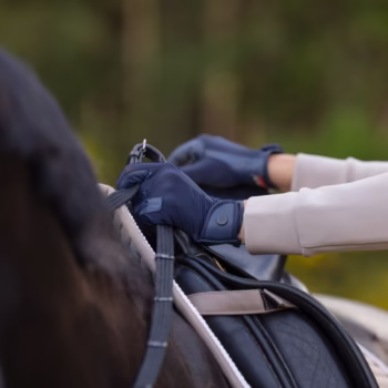 rękawiczki jeździeckie Covalliero