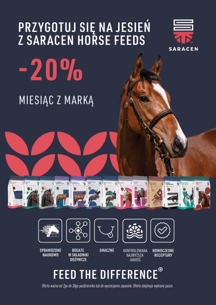 promocja na pasze saracen